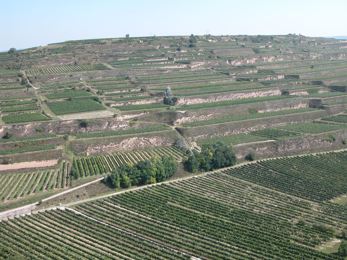 Weingut und Gästehaus Berger Gedersdorf Exterior foto